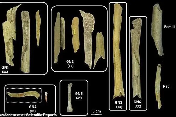 ثابت شد؛ انسان‌ها، آدم‌خوار بوده‌اند!