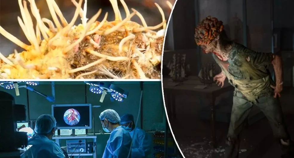 پیام خراسان