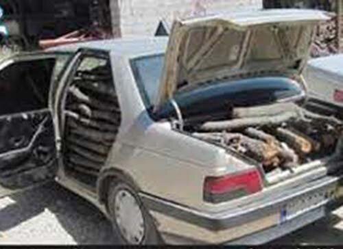 کشف ۵۰۰ کیلو درخت تاغ از خودروی در سرخس