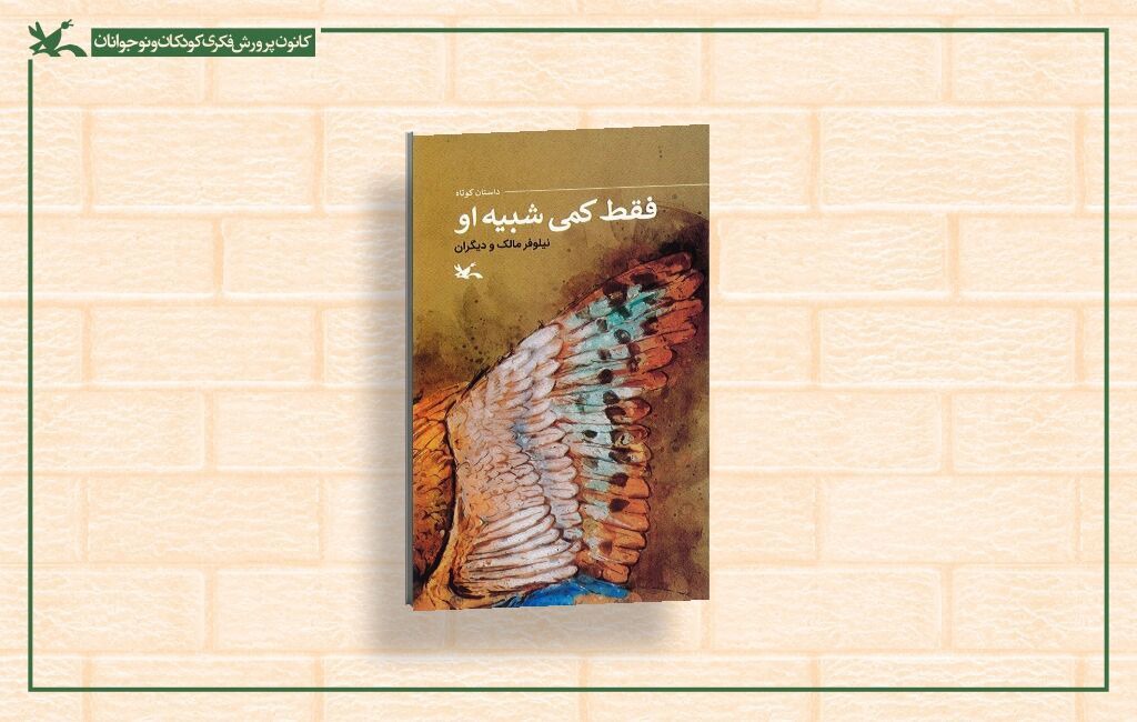 کتاب «فقط کمی شبیه او» روانه بازار نشر شد