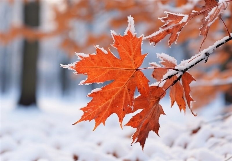 آخر هفته برفی در انتظار مردم خراسان رضوی