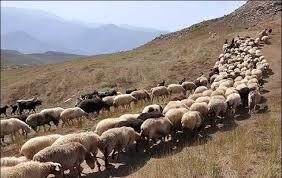 پیام خراسان