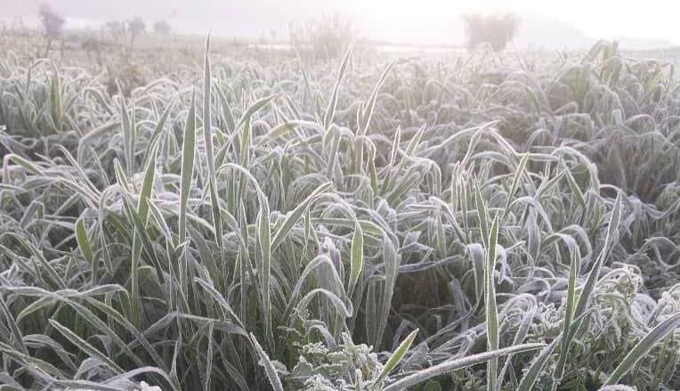 نبرد کشاورزان خراسان شمالی با یخبندان