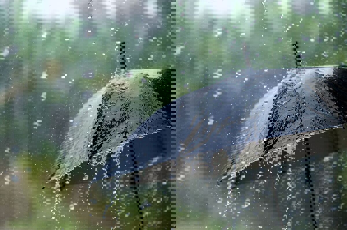 داداشی: سامانه بارشی از بعدازظهر پنج‌شنبه وارد خراسان شمالی می‌شود