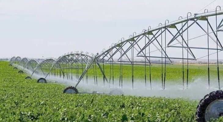 مرد میدان و شهیدی جوان از خطه شهیدپرور شیروان