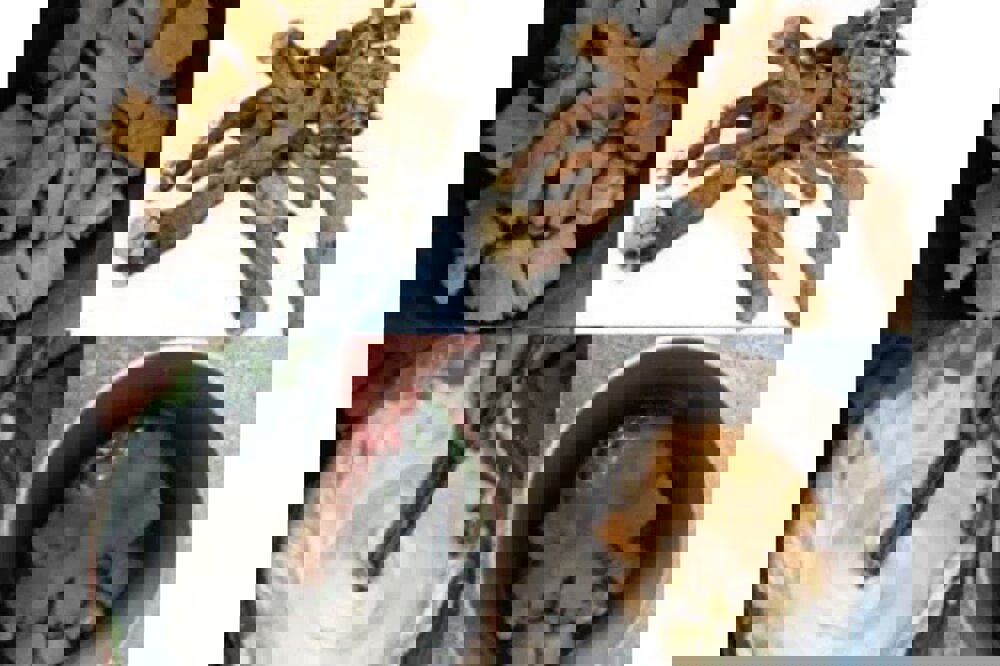 ثبت آیین کف‌زنی خراسان جنوبی در تقویم رویدادهای گردشگری کشور