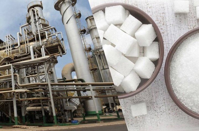 پاسخ سازمان غذا و دارو درباره فرآیند تولید قند و شکر