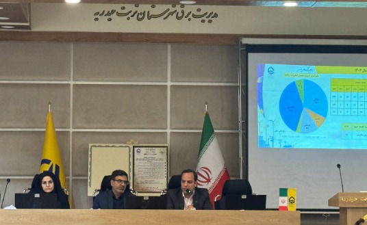 قرار داشتن ۸۰ درصد مشترکان برق تربت‌حیدریه، زیر الگوی مصرف