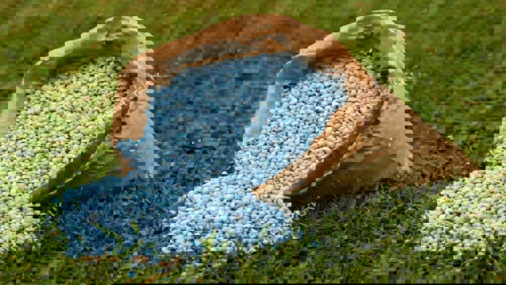 توزیع ۱۲ هزار و ۴۰۰ تن کود یارانه‌ای در خراسان جنوبی