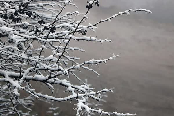 بارش برف از چهارشنبه در خراسان رضوی