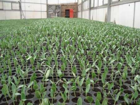 پیام خراسان