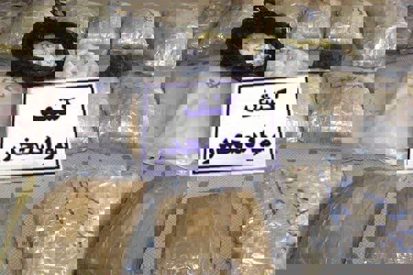 کشف ۲۱۶ بسته مواد مخدر در مشهد