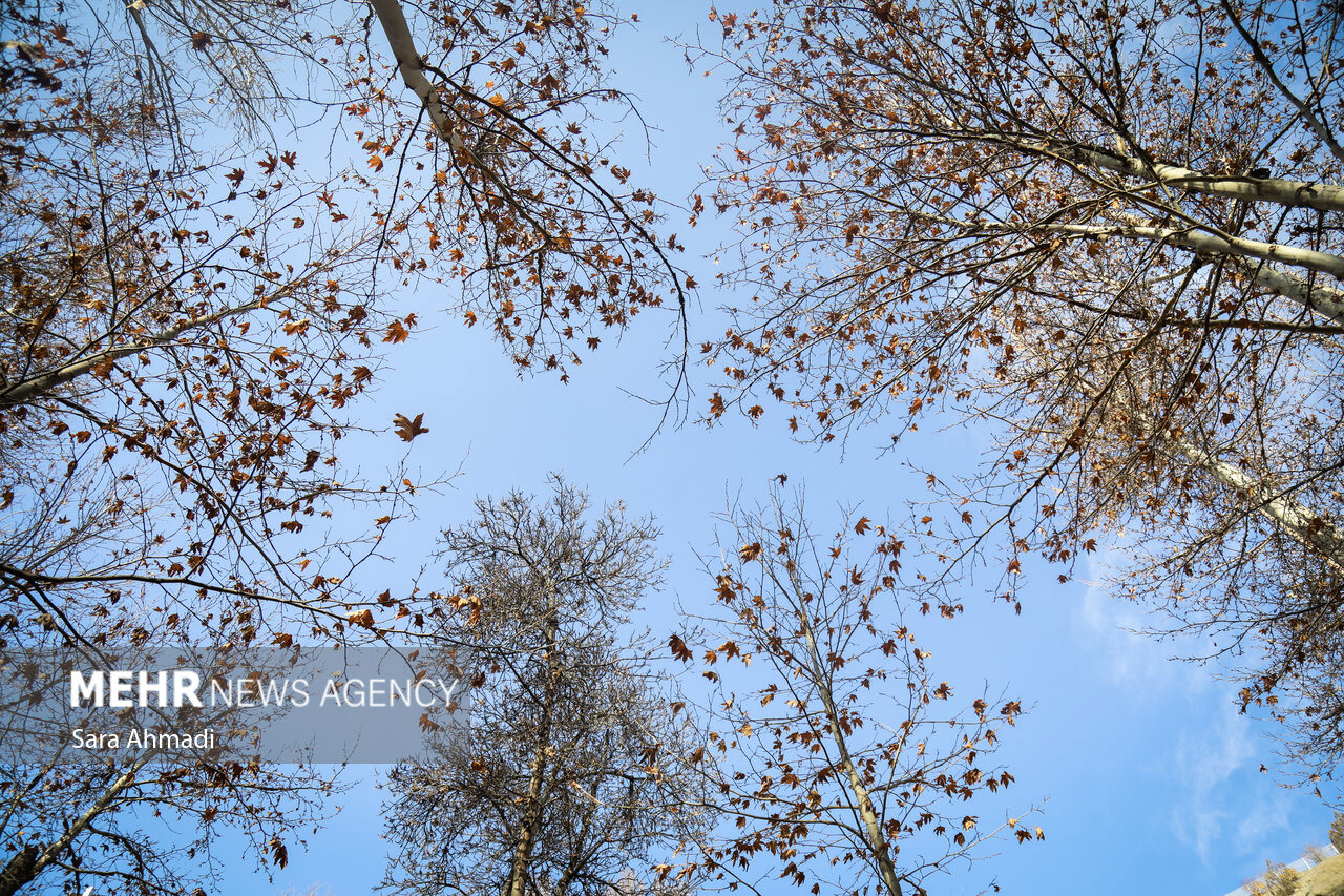 کاهش ۱۲ درجه ای دمای هوا در خراسان رضوی