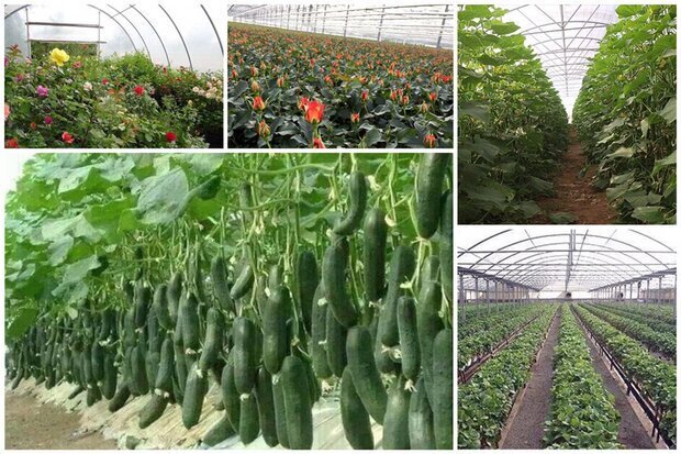 پیام خراسان