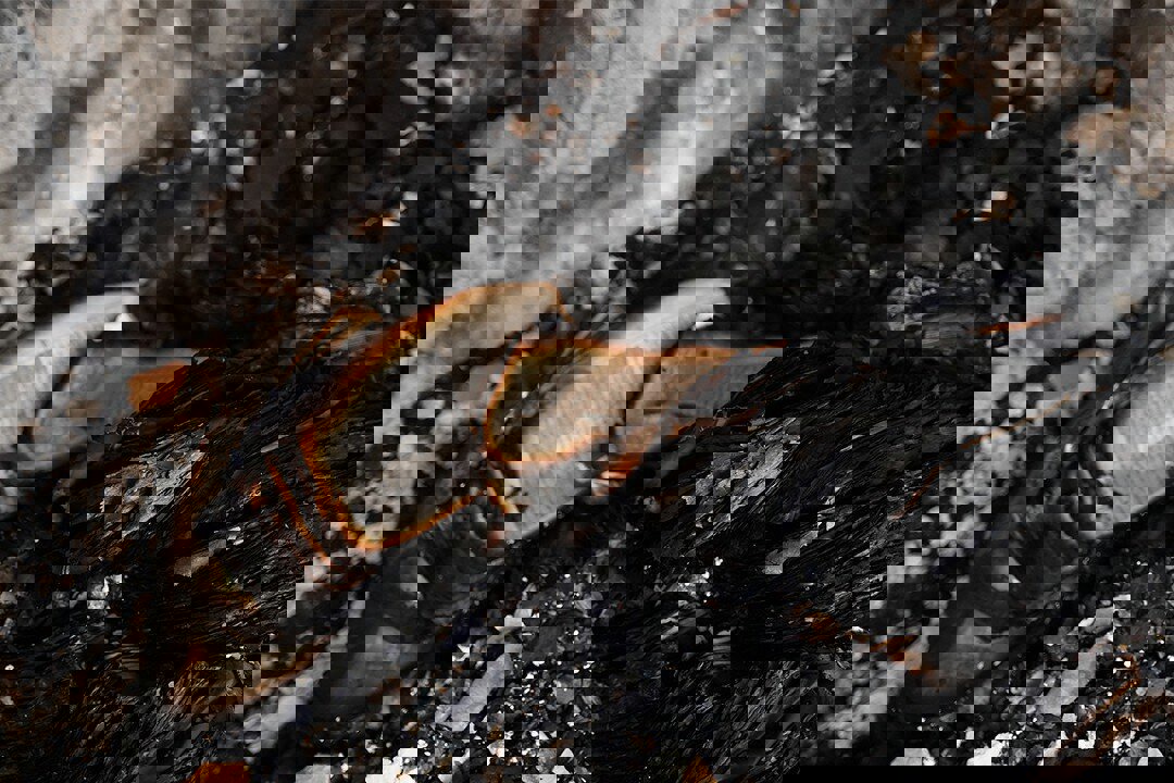 آتش اغتشاشات به کتاب‌خانه و مرکز نیکوکاری در شهر یونسی بجستان رحم نکرد