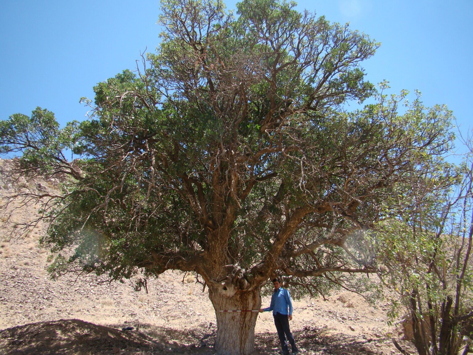 پیام خراسان