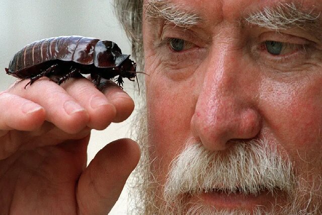 پیام خراسان