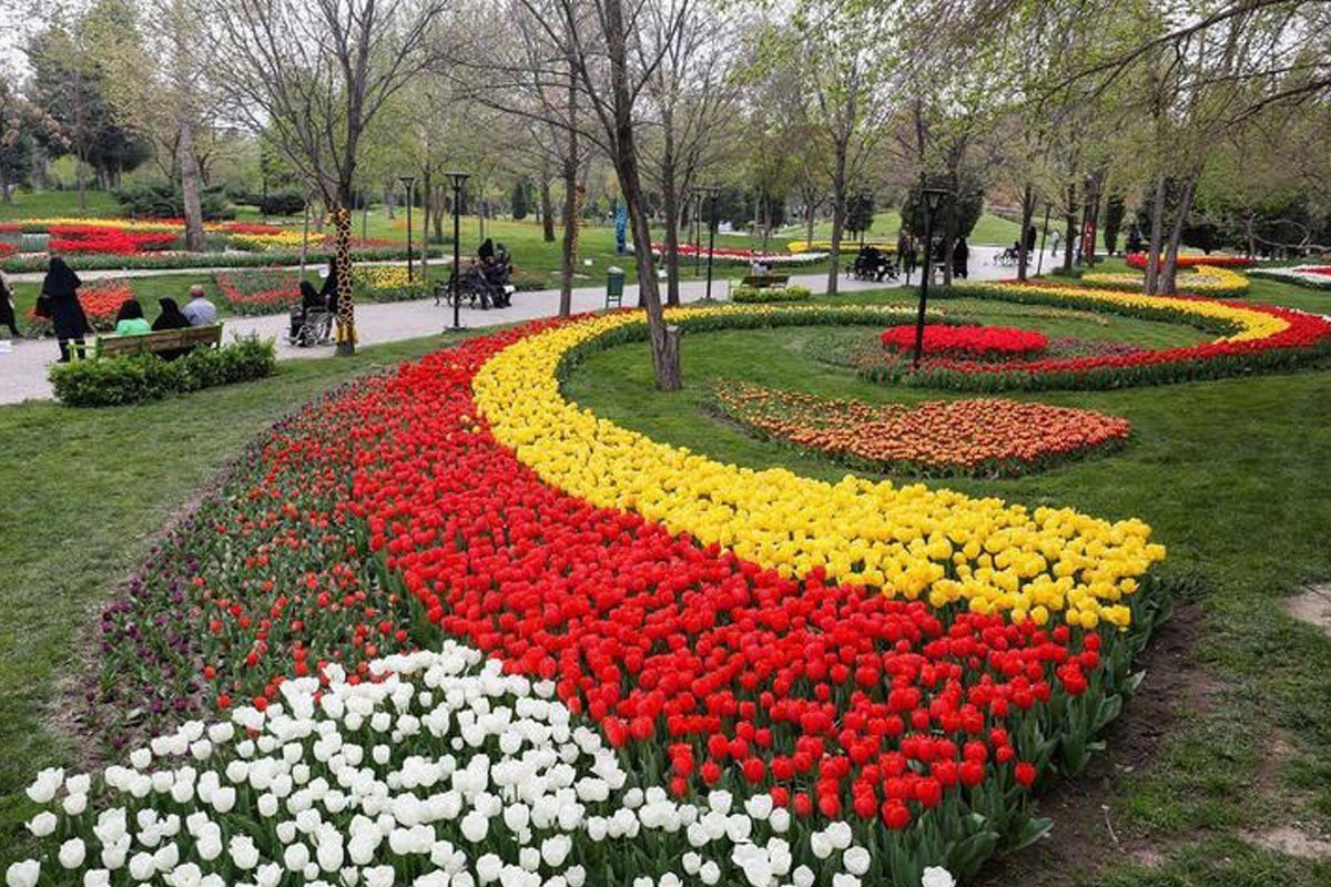 آغاز کاشت ۹۰۰ هزار گونه گیاهی دائمی در استقبال از بهار