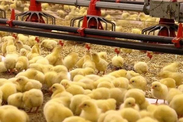 پیام خراسان