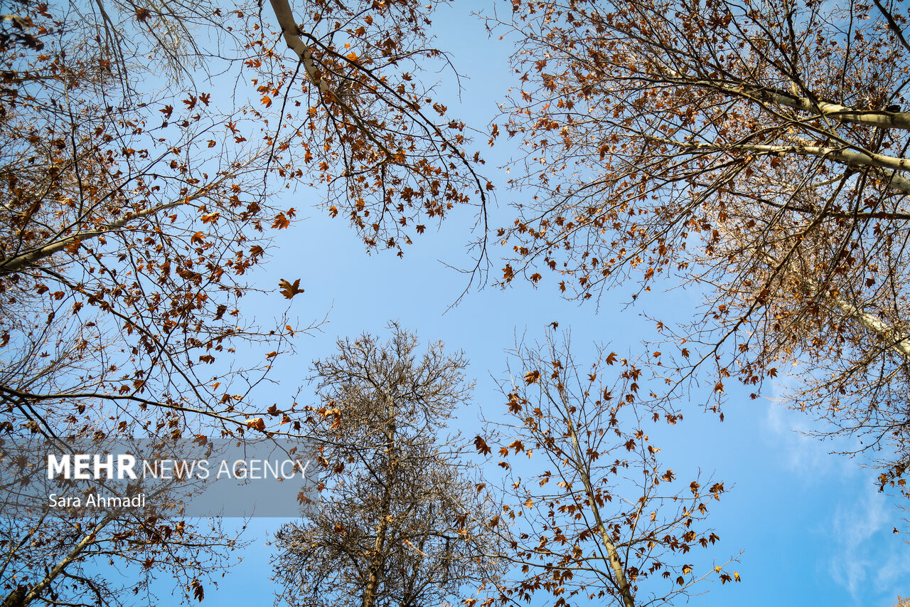 هوای مشهد قابل قبول است