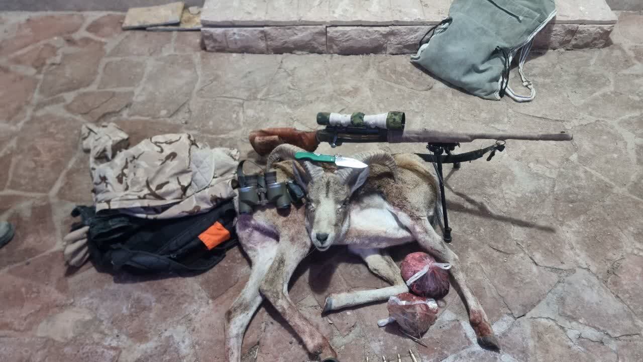 دستگیری شکارچیان غیر مجاز در بام و صفی آباد