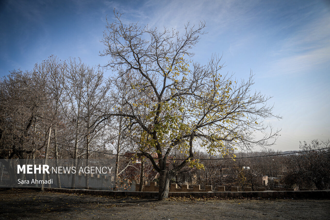 هوای مشهد ناسالم است