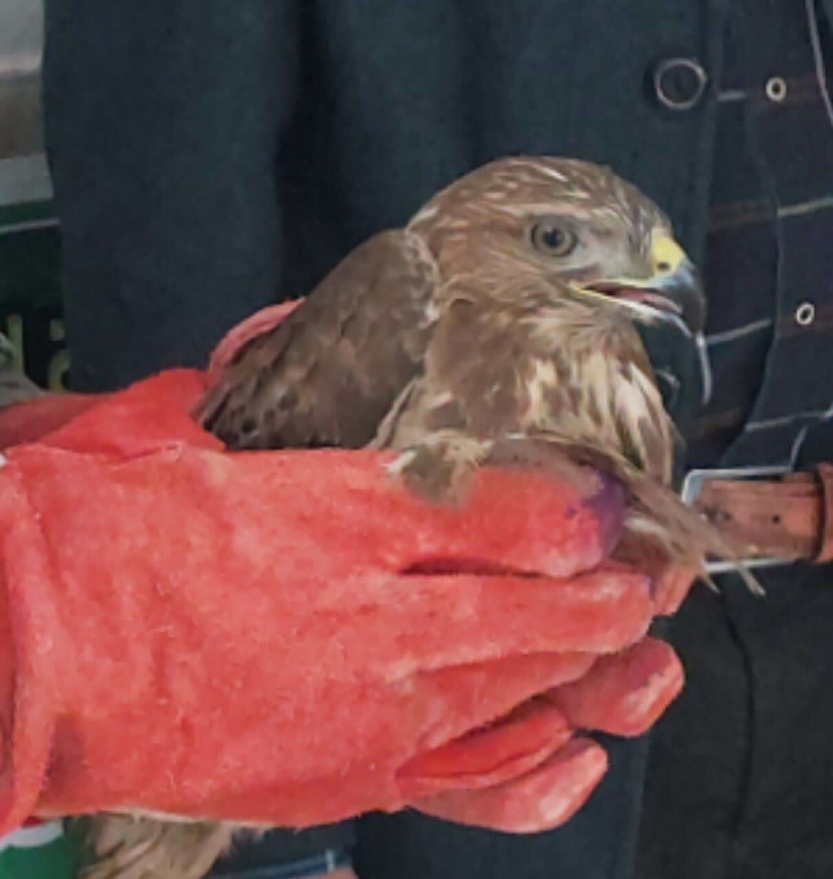 پیام خراسان