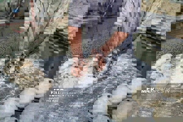 ساعت کار نانوایان مشهد در ماه رمضان اعلام شد