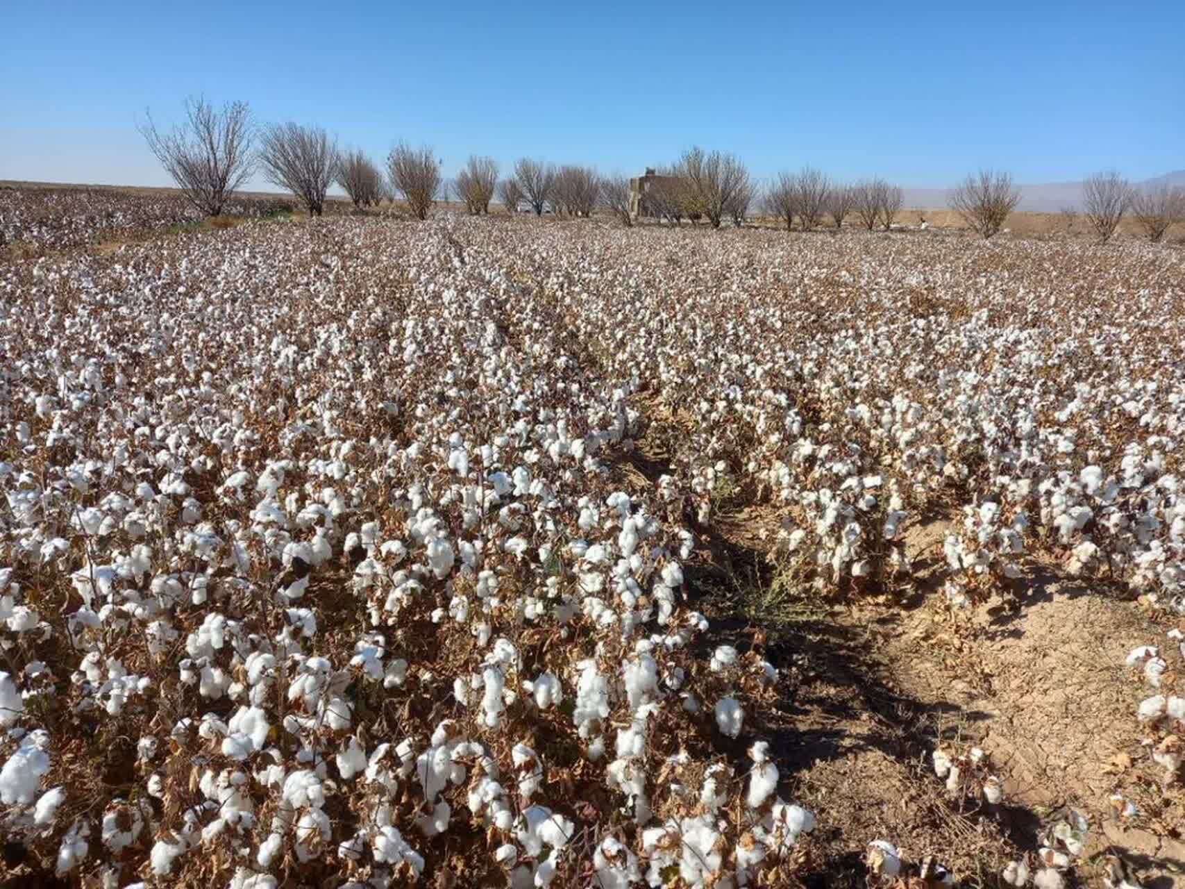 پیام خراسان