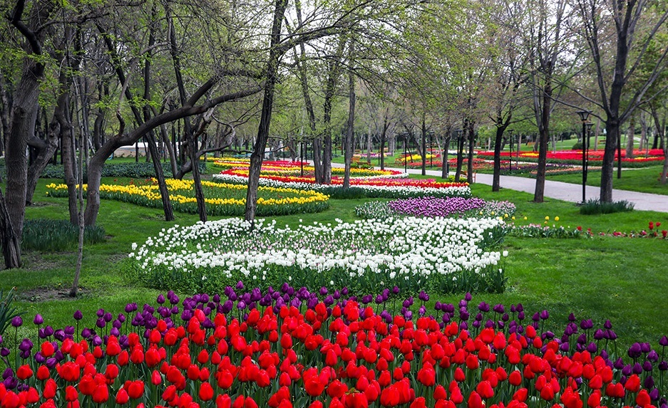 پیام خراسان