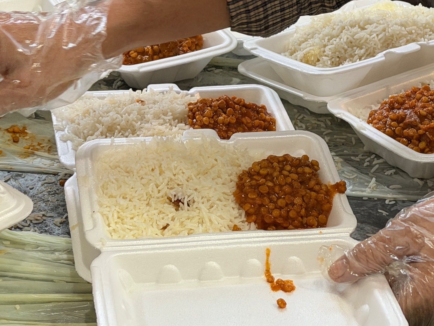 آغاز پویش «اطعام مهدوی، ایران همدل» در خراسان رضوی