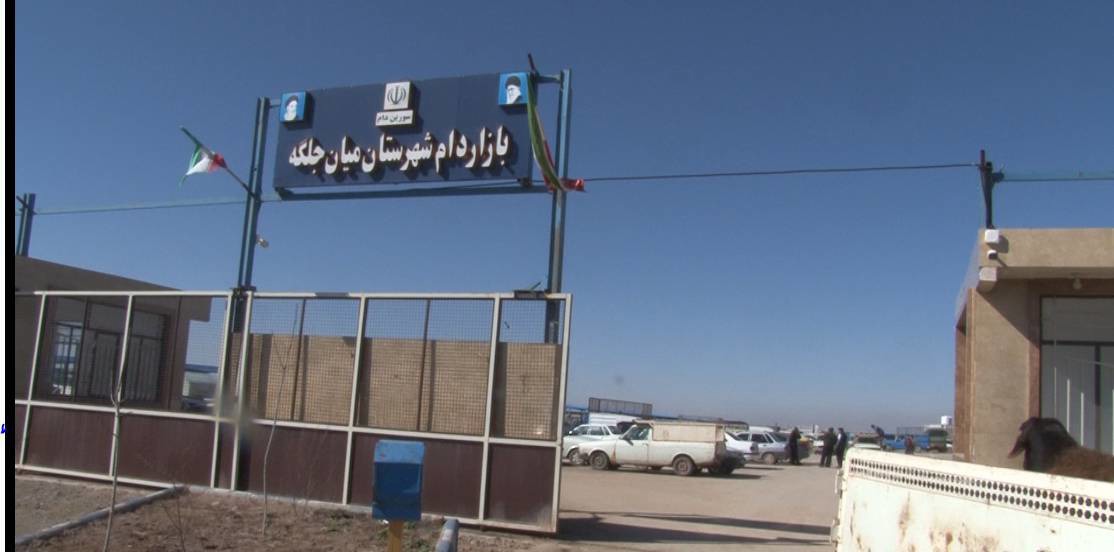 برگزاری اولین اردوی جهادی سلامت در بازار دام میان جلگه