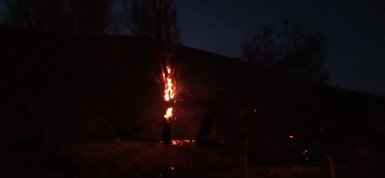 وقوع حریق در عرصه منابع طبیعی فریمان