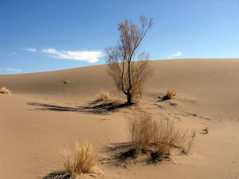 پیام خراسان