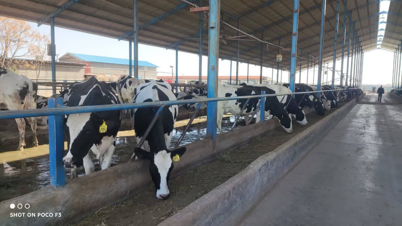 پیام خراسان