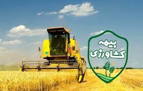 ۹۲ هزار هکتار از گندمزار‌های خراسان شمالی بیمه شد