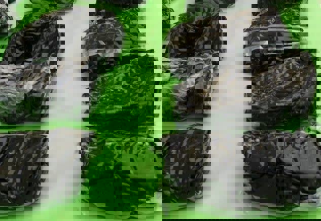 کشف ۲۰ کیلو گرم مواد مخدر و دستگیری سه نفر در تایباد