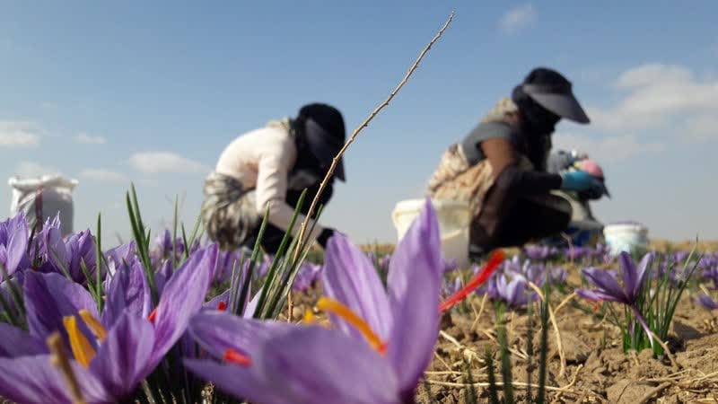 پیام خراسان