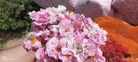 پیام خراسان