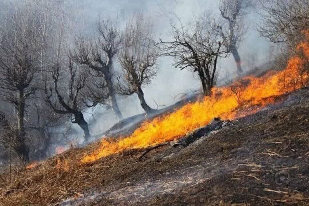 خطر آتش‌سوزی در کمین جنگل‌ها و مراتع خراسان شمالی