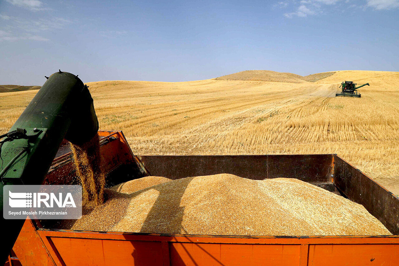 آمادگی ۳۲ مرکز برای خرید غلات در خراسان‌شمالی