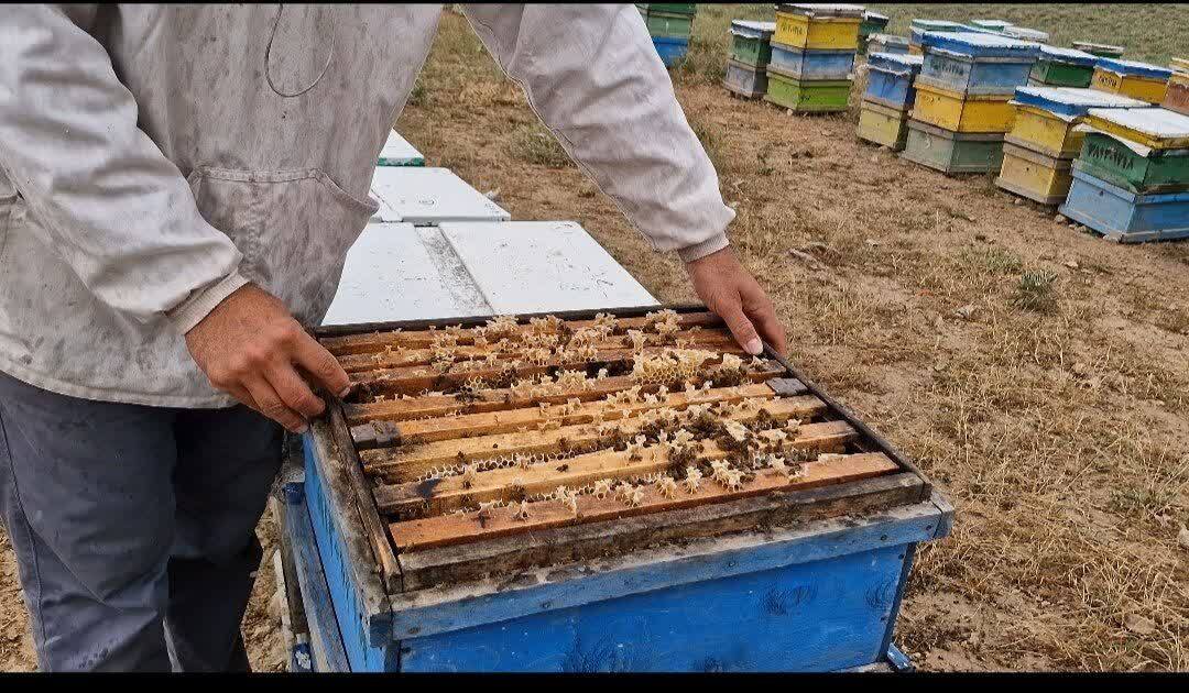 پیام خراسان
