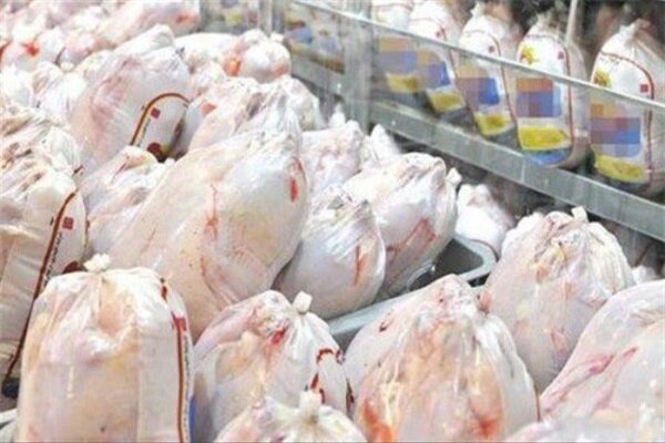توزیع مرغ منجمد تنظیم بازاری در خراسان جنوبی آغاز شد