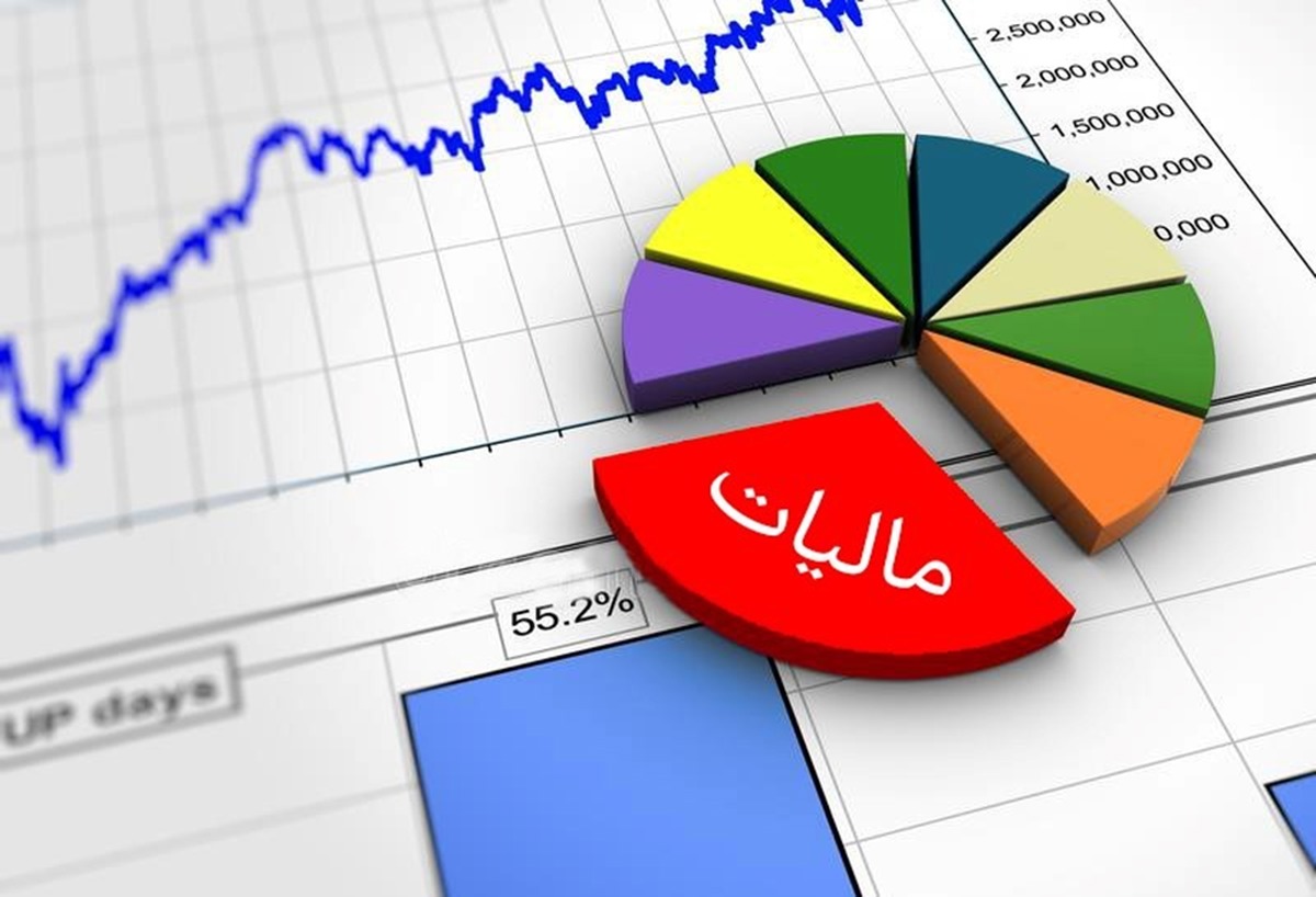 اختصاص ۳۰۰ میلیارد ریال به حوزه ورزش و جوانان خراسان جنوبی از محل مالیات بر ارزش افزوده