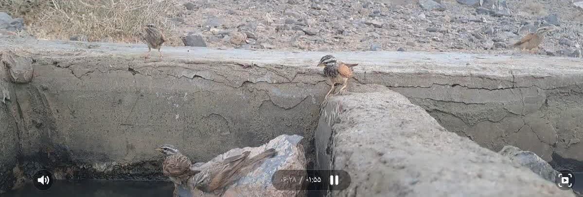 پیام خراسان