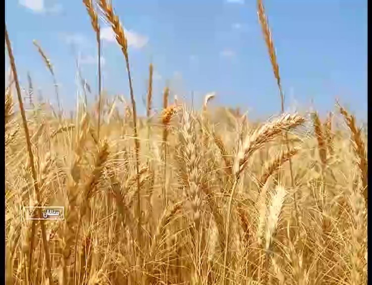 پیام خراسان