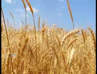پیام خراسان