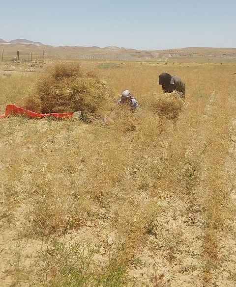 پیام خراسان