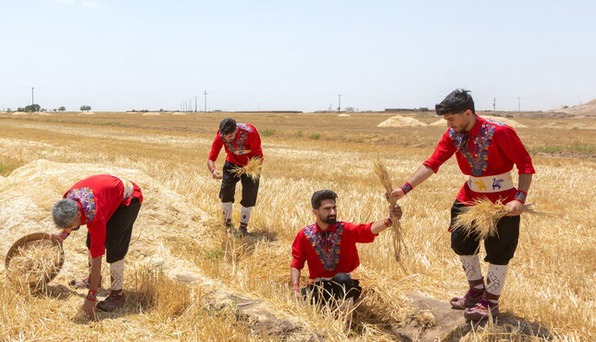 عکس/ جشنی برای حاصل ماه‌ها تلاش کشاورزان در نیشابور