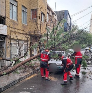 آبگرفتگی‌ معابر، شکستگی درختان و قطع موقتی برق در برخی نقاط مشهد